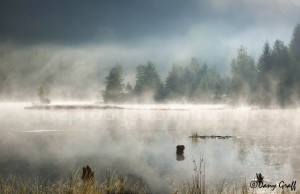 _DGB9361 LISPACH PCO1