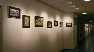 961620_10204574834469375_407089917_n